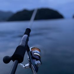 エギング　リベンジ編