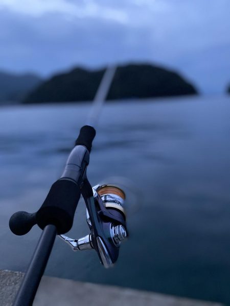 エギング　リベンジ編