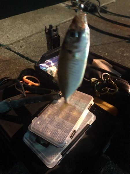 滝行フィッシング