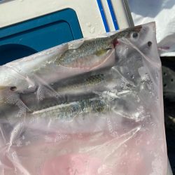 なんともいえない