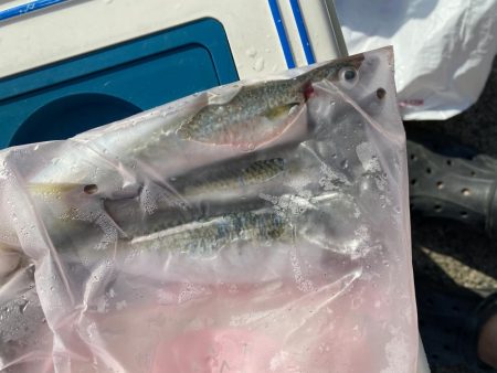 なんともいえない