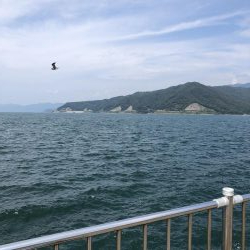 ライトショアジギング