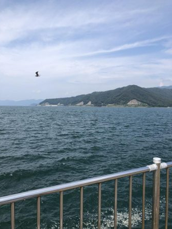 ライトショアジギング