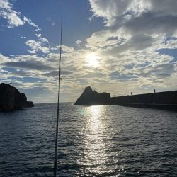 福井で初新子釣り