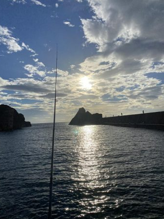 福井で初新子釣り