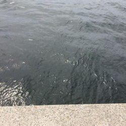 ブルーカレント3