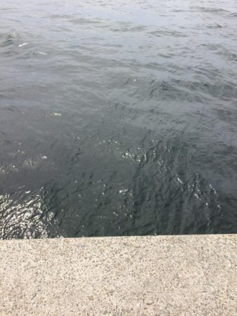 ブルーカレント3