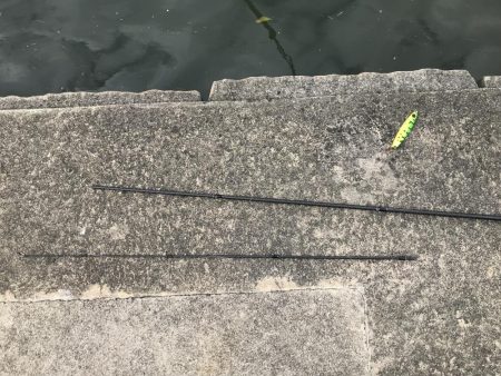 竿が折れた釣行