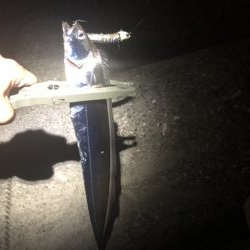 今シーズン初タチ！