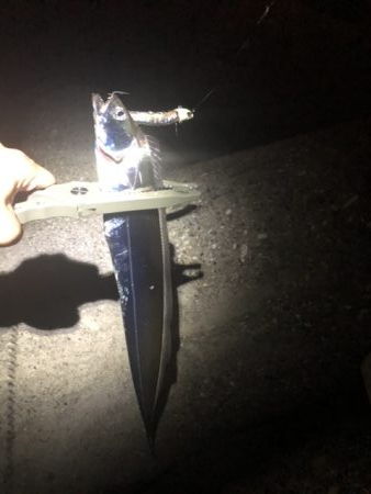 今シーズン初タチ！