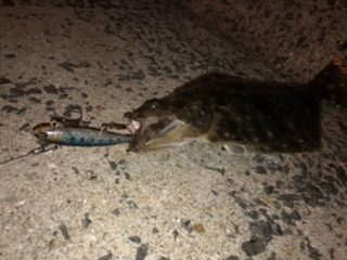 マヅメにボイル