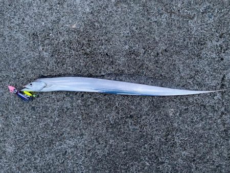 タチウオフィッシング