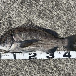 イチノ兄弟、釣果!