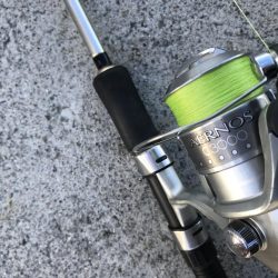 9月14日見えイカにつられて