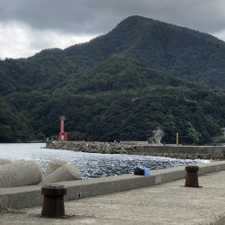 一ヶ月ぶりの釣り