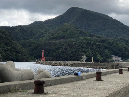 一ヶ月ぶりの釣り