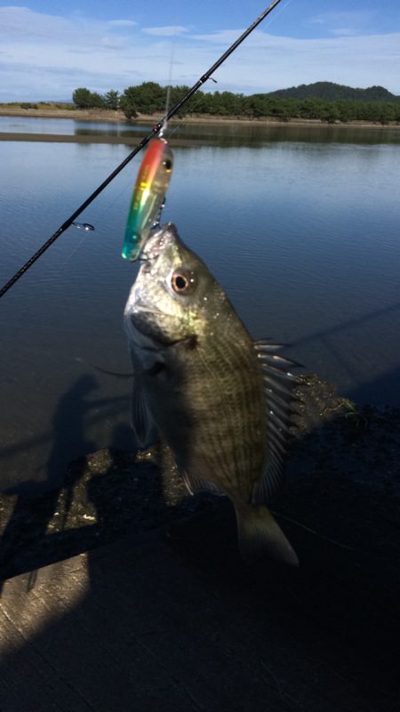 和歌山のチニング