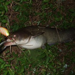 いよいよシーズン終盤の良い時期に