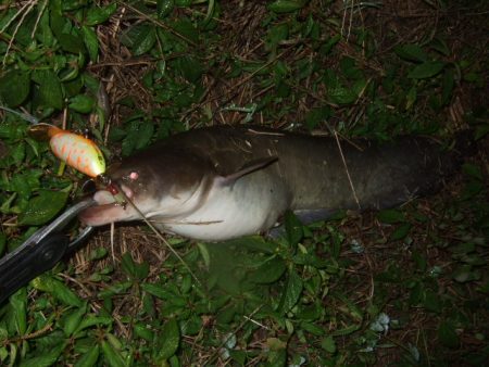 いよいよシーズン終盤の良い時期に