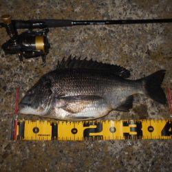 まだまだ夏ですね…。