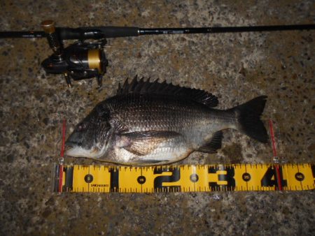 まだまだ夏ですね…。