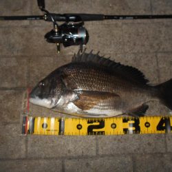 岸壁ノックでズドンッ!!。