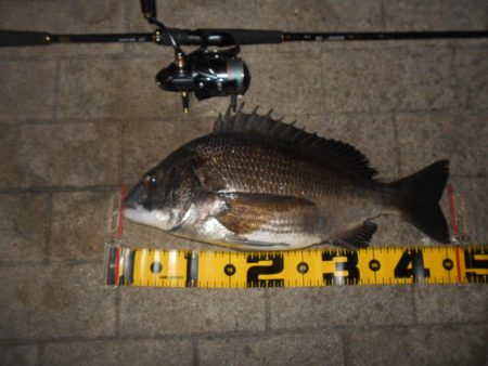 岸壁ノックでズドンッ!!。