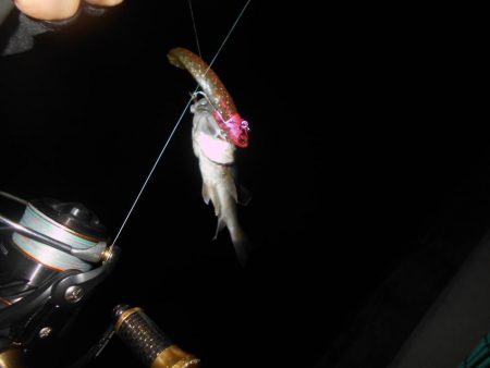 タダ巻きでは食ってこない。