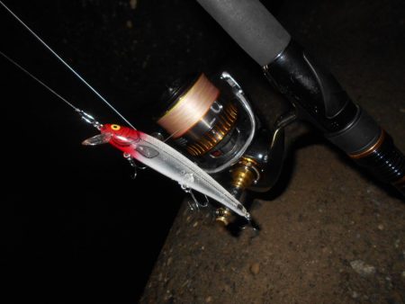 チビのみで終了…。