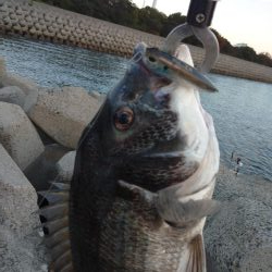 早朝トップゲーム!!