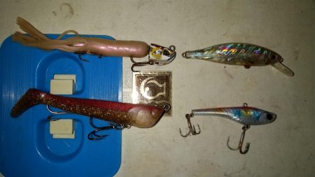 なんとか最終日太刀魚の回遊tと一致しました。