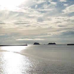 ヘダイ釣ったどー