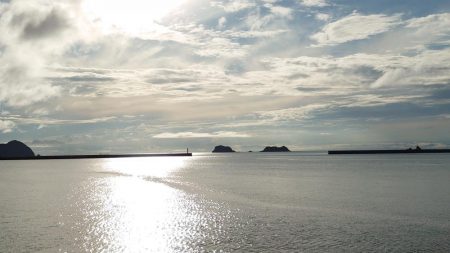 ヘダイ釣ったどー