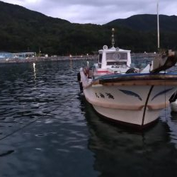 少なくなってきました