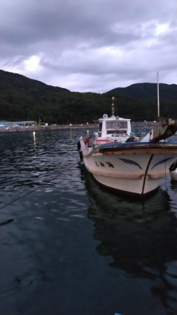 少なくなってきました