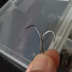 あと数センチでメジロ