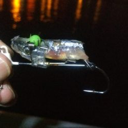 ガシラ5  中サバ6