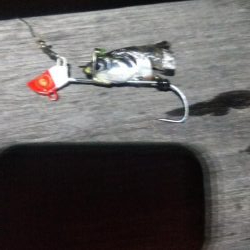 ガシラ20  イワシ5  サバ3