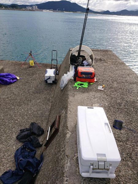 青物狙いのハズが