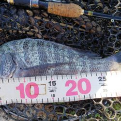 荒天の合間の濁りの中