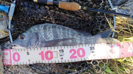 荒天の合間の濁りの中