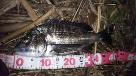 足下まで油断は禁物