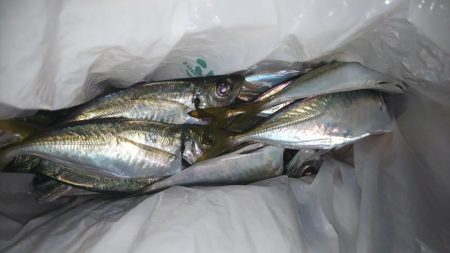 少しサイズアップ?