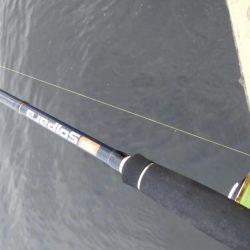 中アジ完全に抜けた！？