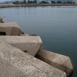 今シーズン初タチウオ