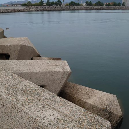 今シーズン初タチウオ