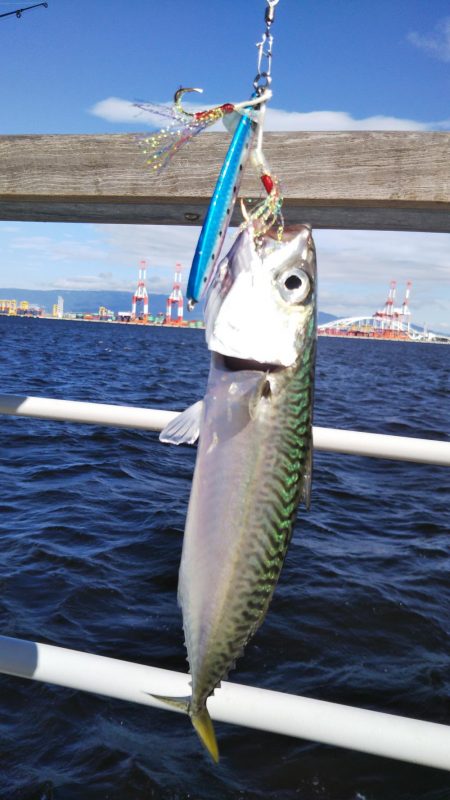 ぶら朝コスモ!!