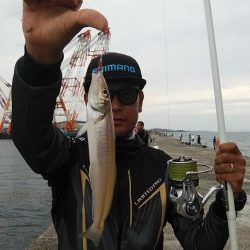 時合いバッチリの播磨新島釣行