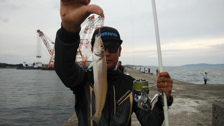 時合いバッチリの播磨新島釣行