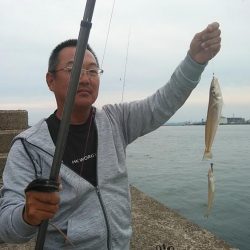 ピークを迎えた播磨新島のキス